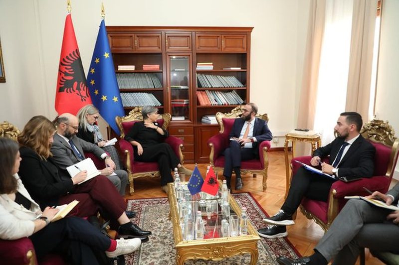 “Shqipëria ka nevojë për zgjedhje të lira”, Bardhi takon raporteren për Shqipërinë në PE