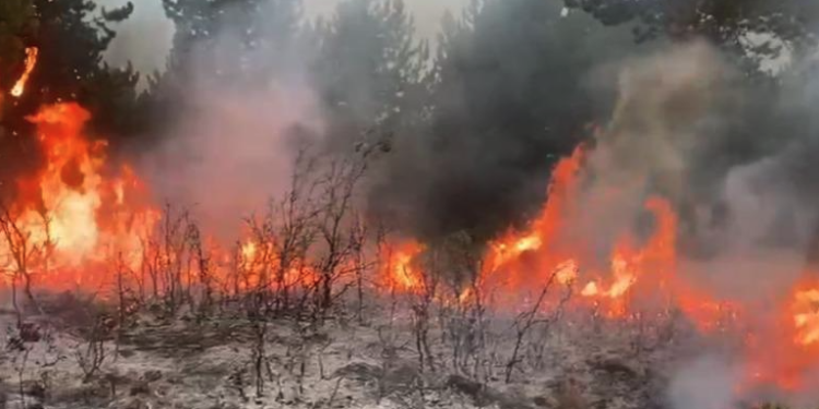 Zjarret përfshijnë disa zona në vend, ndërhyrje nga ajri dhe toka