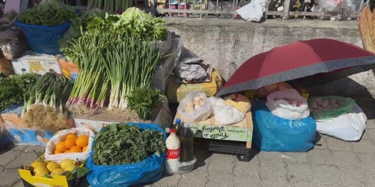 12 ditë aksion për sigurinë ushqimore, bllokohen mbi 76 ton mallra