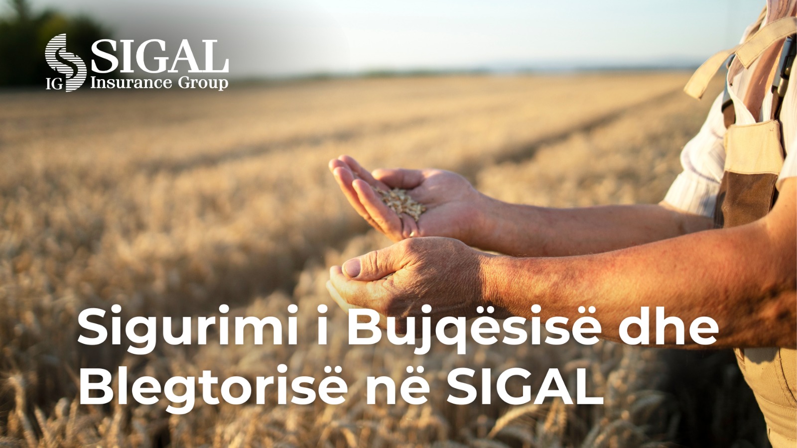 Sigurimi bujqësor përballë sfidave klimatike. SIGAL mbrojtje për të gjithë fermerët
