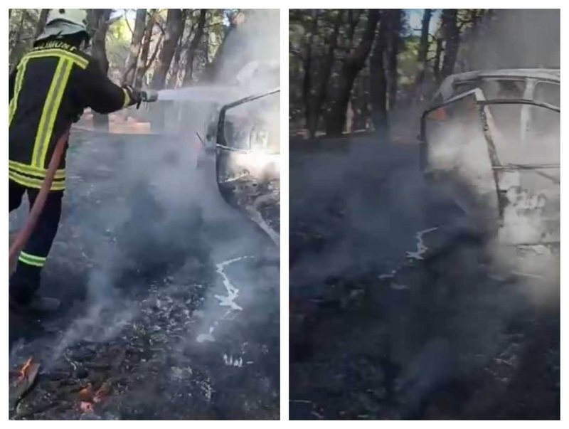 Përfshihet nga flakët makina në Vlorë, rrezikohet pylli i Sodës