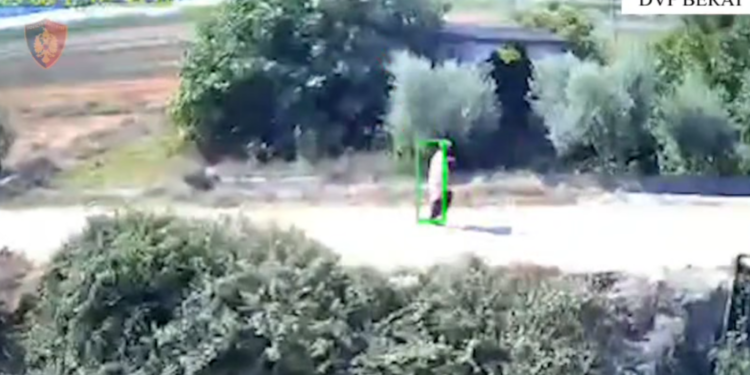 Katër të arrestuar për flakët në Berat, kamerat filmojnë një prej zjarrvënësve