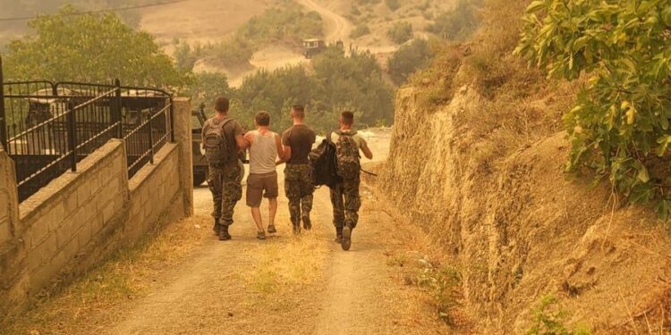 Dëme të mëdha nga zjarret, 133 krerë bagëti dhe mbi 600 zgjoje bletësh të djegura në jug