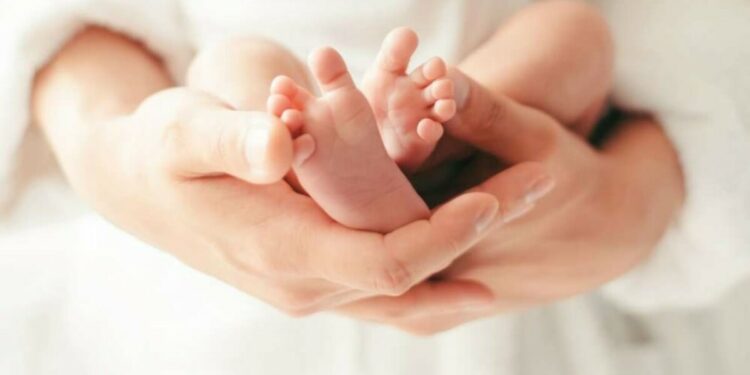 Lindjet/ 1 mijë bebe më pak, qarku i Kukësit i vetmi që ka shënuar rritje