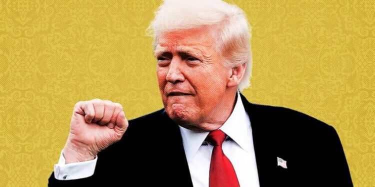 Nga ‘Maga’ në ‘Mega’, si po fiton terren “Trumpizmi” në Mbretërinë e Bashkuar