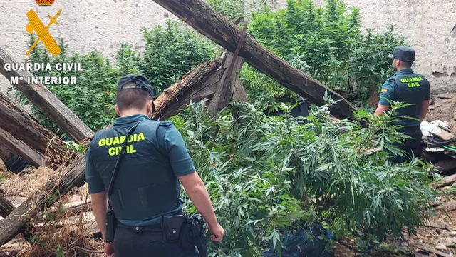 Shtëpitë e barit / Kapen 5 shqiptarë në Spanjë, mes tyre një grua
