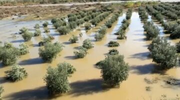 Përmirësohet situata nga përmbytjet në Vaun e Dejës
