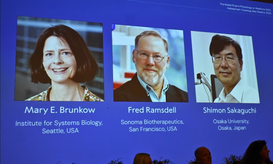 Dy shkencëtarë amerikanë dhe një japonez marrin Çmimi Nobel për Mjekësi