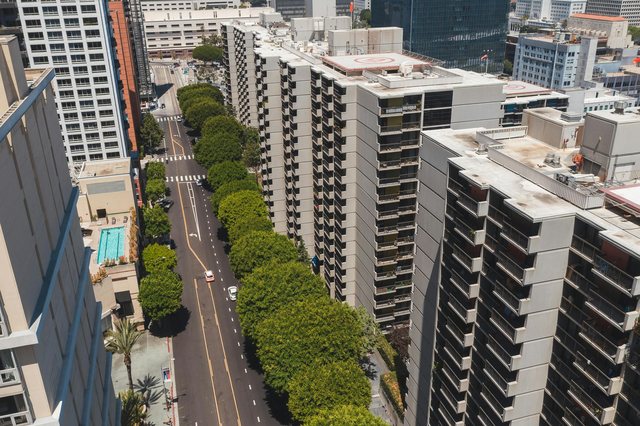 Qytetet që lulëzojnë pa makina