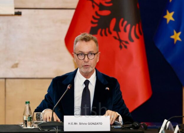 Gonzato: Anëtarësimi i Shqipërisë në BE mbetet një objektiv kombëtar