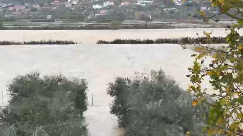 Moti i keq, rritet në 1 metër niveli i ujit në Spiten të Lezhës