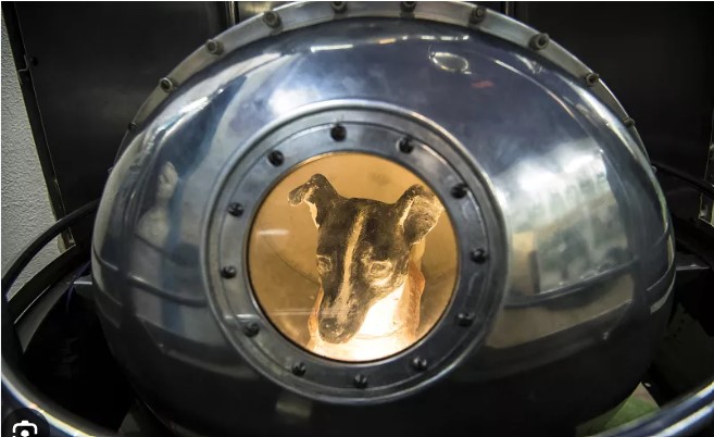 Sputnik 2 qëndron 162 ditë në orbitë, qeni Laika nuk i mbijetoi fluturimit në hapësirës