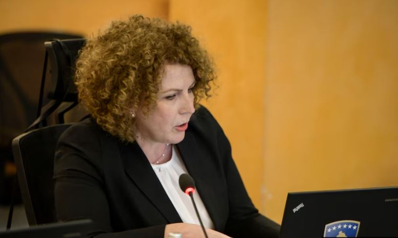 Akuzat për rezervat shtetërore, Hajdari: Tendencë politike ndaj Qeverisë Kurti