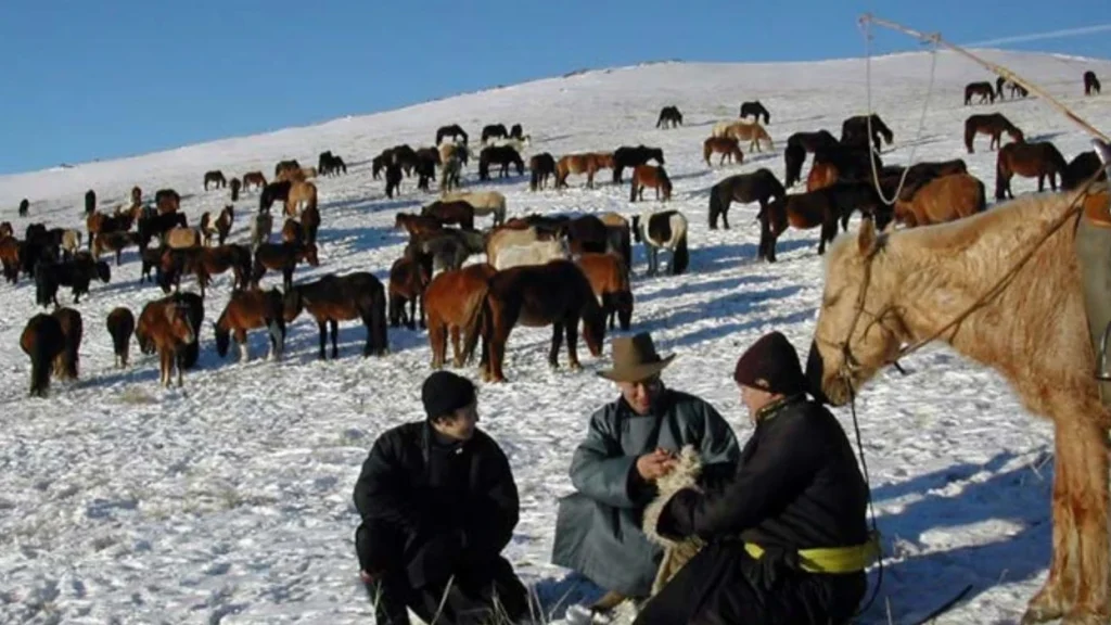 Ky shtet ka më shumë kuaj se njerëz, ja përse është kaq i veçantë