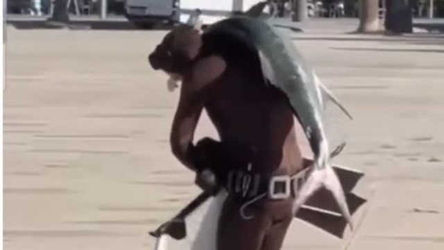 Vlorë/ Peshkatari kap peshkun 24 kilogramësh