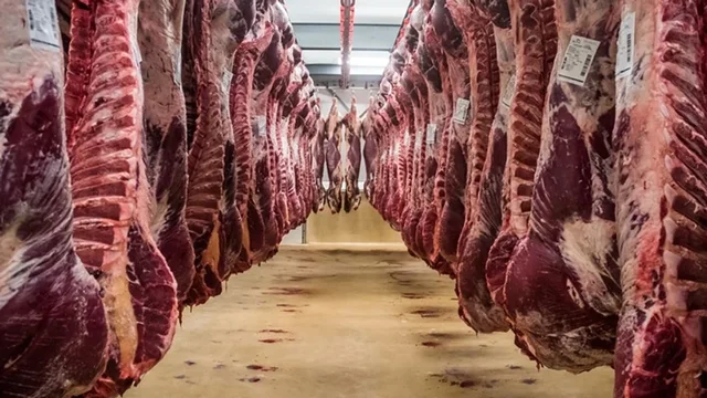 Aksioni i Tatimeve në kompanitë e tregtimit të mishit, evazion në shuma të mëdha parash