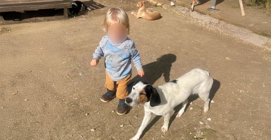 Ky është 2-vjeçari shqiptar që ndërroi jetë në Greqi i sulmuar nga qeni