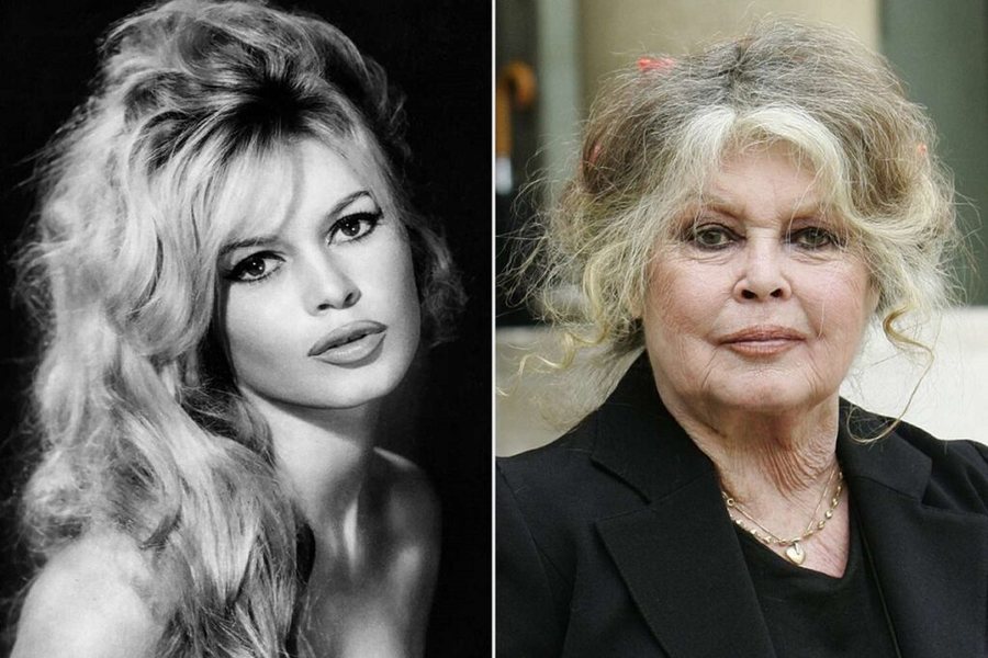 Zbulohet shkaku i vdekjes dhe fjalët e fundit të Brigitte Bardot!