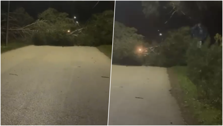 Era e fortë rrëzon pemët, bllokohet qarkullimi në rrugën Vlorë-Zvërnec