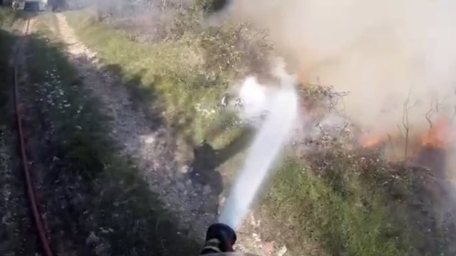Zjarri në fshatin Risili të Vlorës djeg disa rrënjë ullinjsh, dyshohet i qëllimshëm
