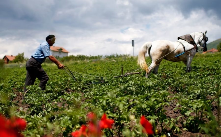 IPARD III për bujqësinë, qeveria ndryshon strukturën menaxhuese para hapjes së fondit