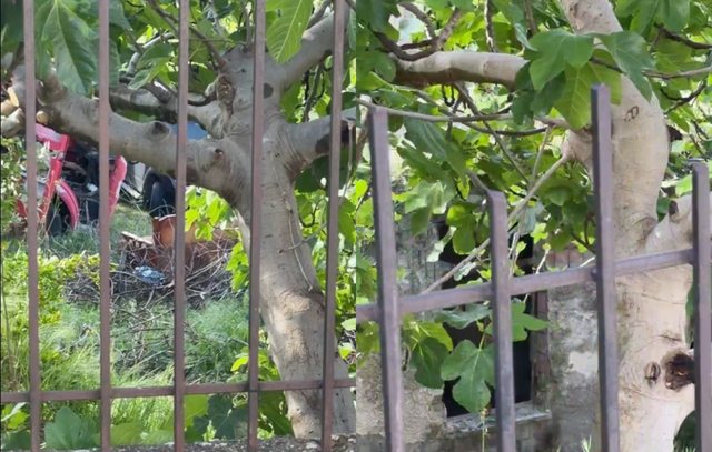 Korreshi denoncon: Reparti zjarrfikës në Lushnjë me ambiente të amortizuara