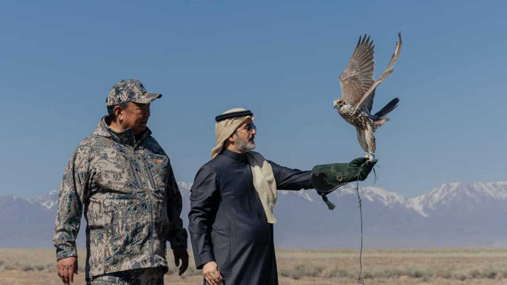 Shqiponjat sakër kthehen në liri, program restaurimi në Altyn-Emel National Park