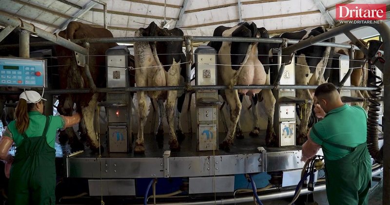 Kreditë agro, një epokë e re e financimit për fermerët e vegjël dhe të mesëm