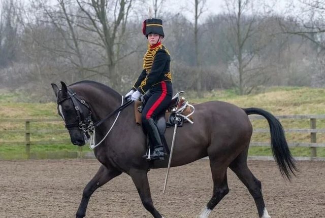 Tragjedi në Britani, 24-vjeçarja ushtarake humb jetën pas rënies nga kali në “Royal Windsor Horse Show”