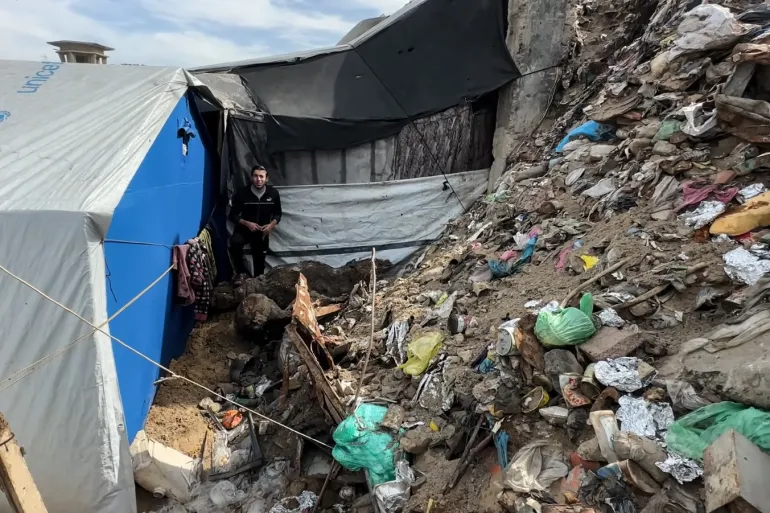 Gaza/ Familjet e zhvendosura luftojnë me minj dhe insekte