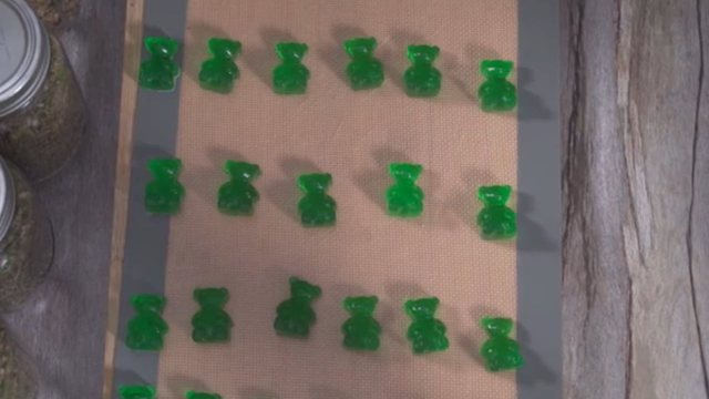 Droga si karamele për të rinjtë! Kanabis laboratorik në formë xhelatine, zbulohet punishtja në Durrës