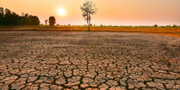 “El Nino” rikthehet, bota do të përballet me 5 vite të nxehti ekstrem