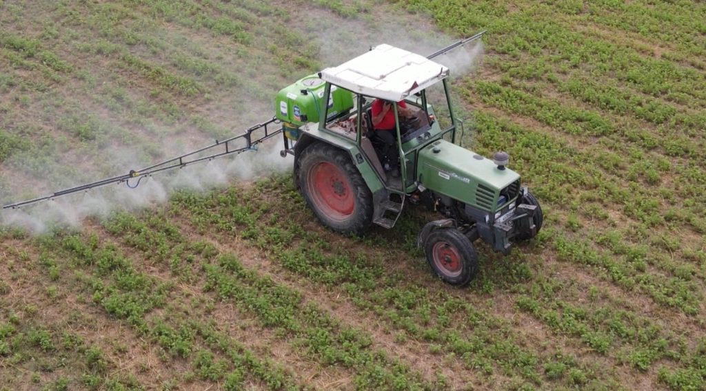 Greqia merr 5,000 punëtorë sezonalë nga Egjipti për bujqësinë