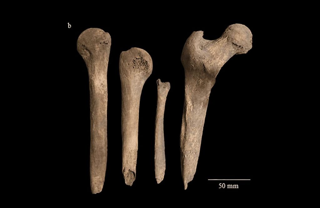 Rituali makabër i Loch Borralie, eshtrat e një gruaje të Epokës së Hekurit u shndërruan në vegla