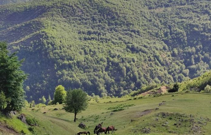 Zhduken dy turistë gjermanë në malin e Polisit në Librazhd, asnjë gjurmë që prej mbrëmjes së djeshme