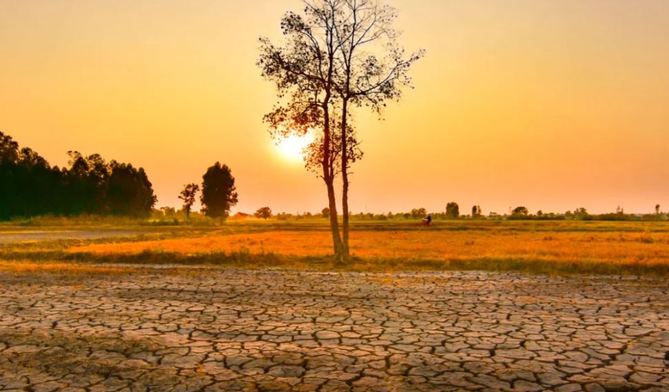 Paralajmërimi i OKB: Fenomeni El Niño është jashtëzakonisht i fortë, çfarë tregojnë të dhënat për Evropën?