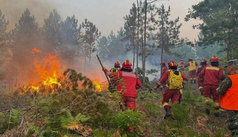 Alarm për zjarret në Shqipëri, tre qarqe në rrezik të lartë