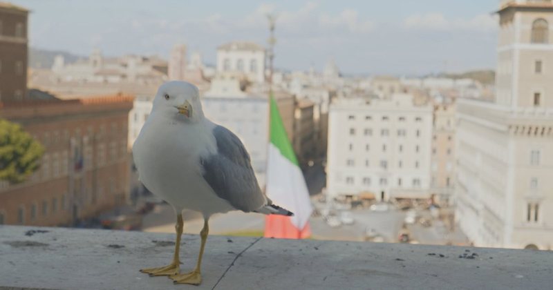 Një vit nga hyrja në fuqi e marrëveshjes së pensioneve me Italinë, mijëra aplikime ende në pritje