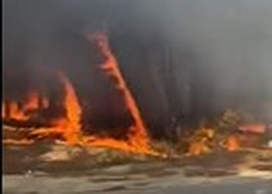 Vlora në KAOS, flakët masive “përfshijnë” Pyllin e Sodës, zjarrfikësit: Janë 5 vatra zjarri në gjithë qytetin (PAMJE)