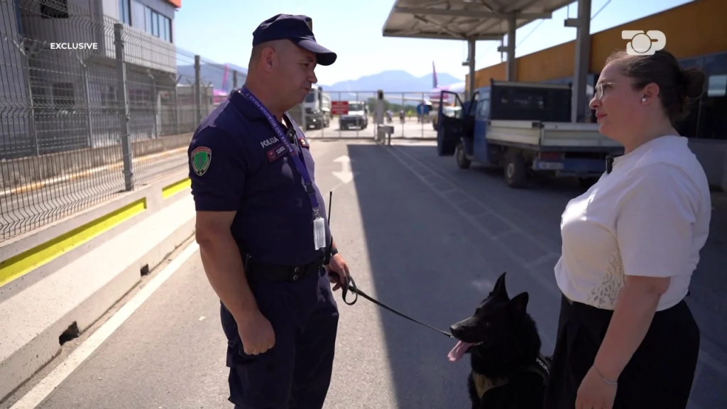 Nga nuhatja e dozave të drogës dhe lëndëve plasëse te armët dhe paratë, si stërviten për muaj të tërë qentë e njësisë K9
