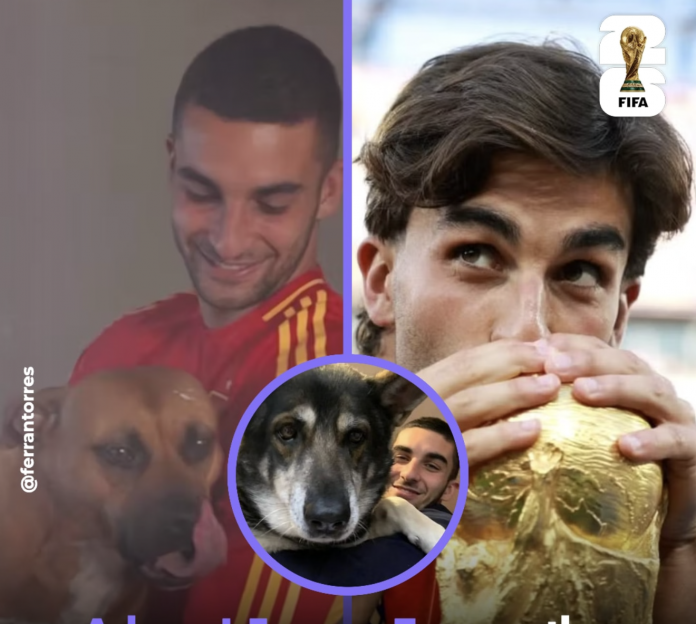 Heroi i finales, Ferran Torres, edhe zë i mbrojtjes së kafshëve endacake