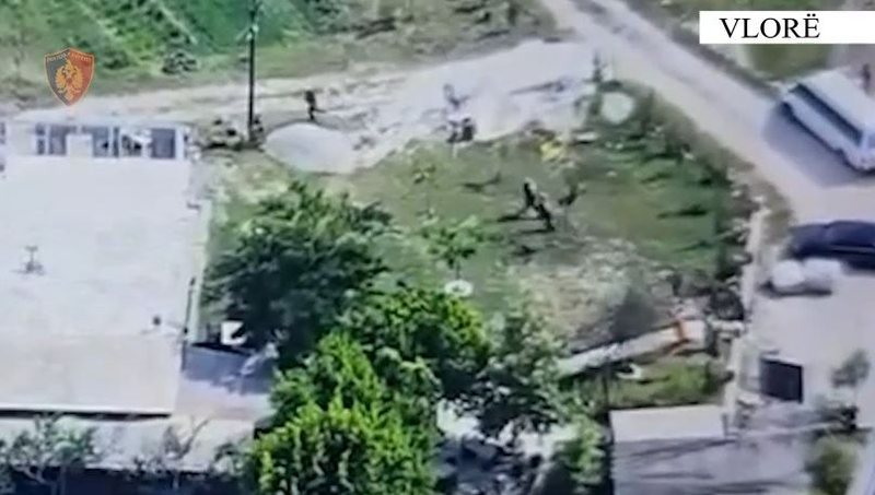Policia e Vlorës: 65 të arrestuar dhe mbi 700 doza drogë të sekuestruara gjatë qershorit