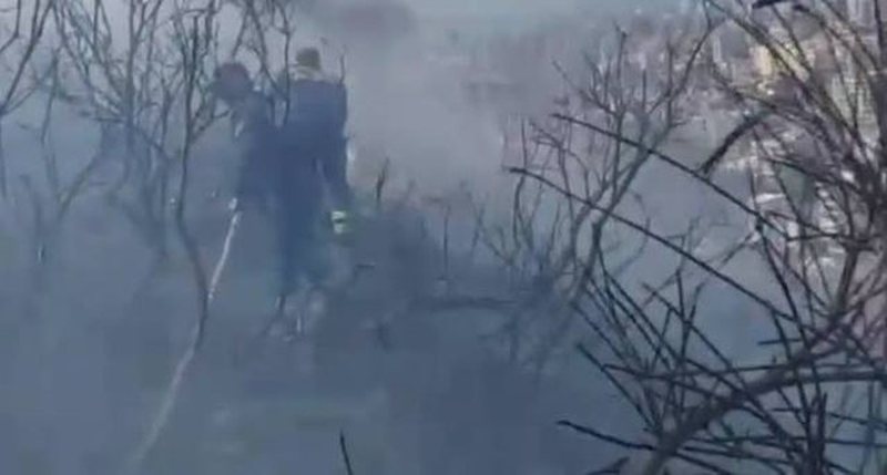 Zjarr i madh në kodrën me ullinj në Dimal, dyshohet se flakët u vunë qëllimisht