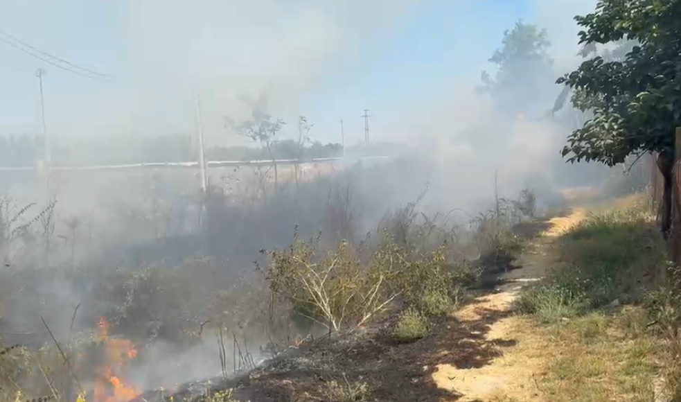 Zjarr në Novoselë, zjarrfikëset në vendngjarje. Rrezikohen banesat pranë (VIDEO)