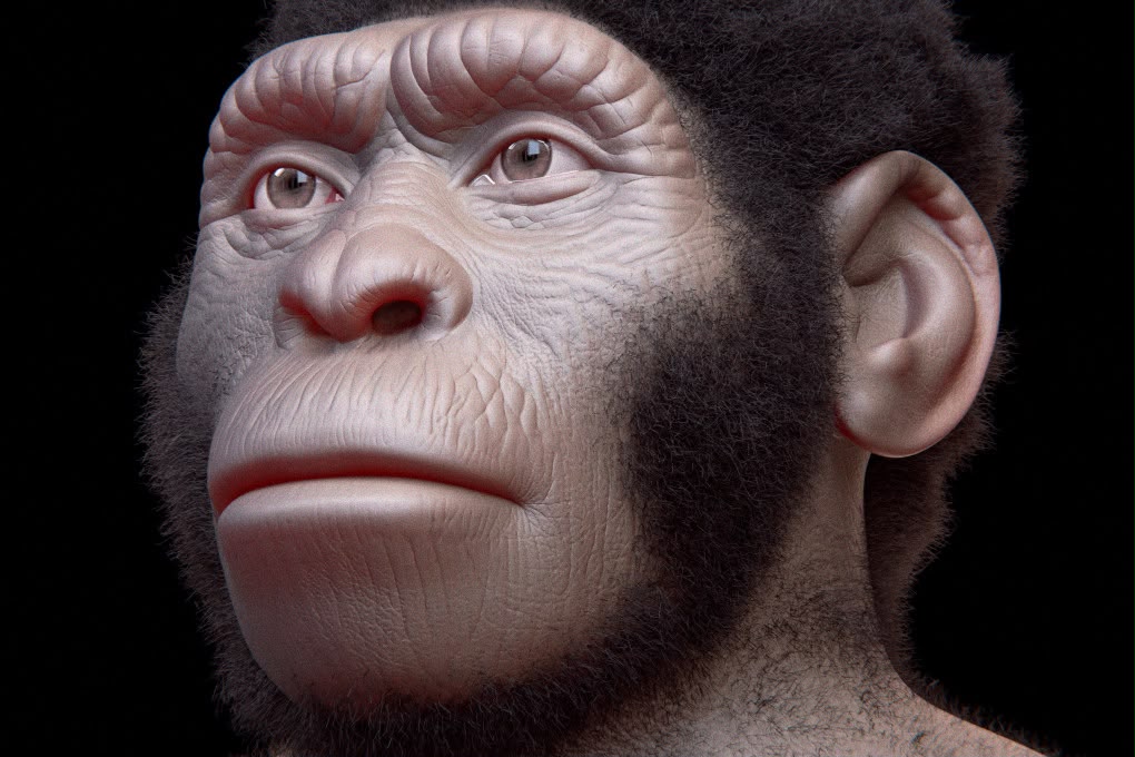Homo naledi: misteri i shpellës pa meshkuj, varrim vetëm me femra apo një anomali gjenetike?