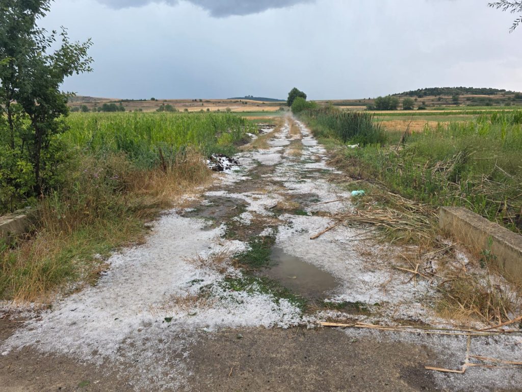 Reshje breshëri në Devoll, dëme në bujqësi (VIDEO)