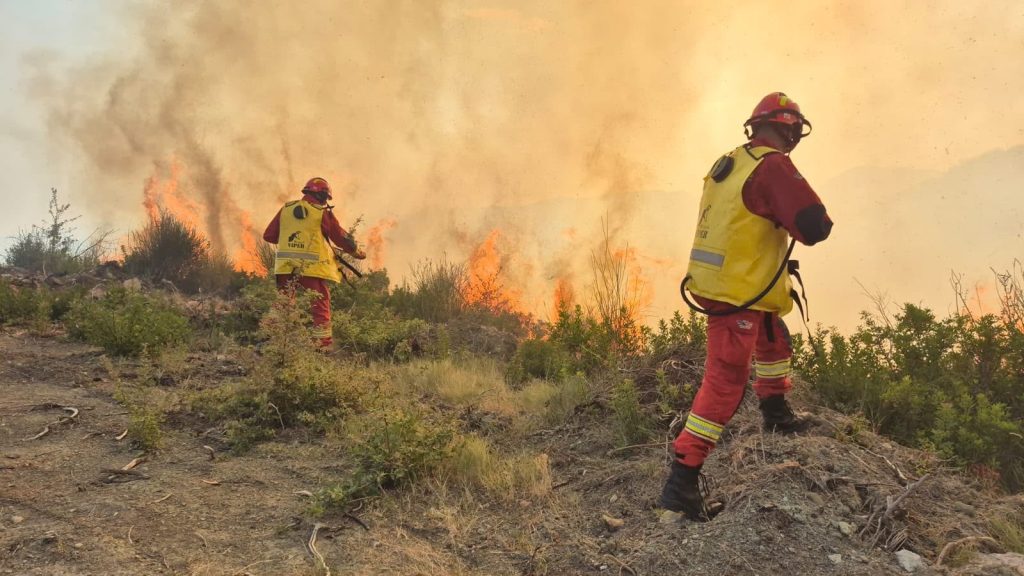727 forca operacionale në terren, Ministri i Mbrojtjes: Shqipëria krenohet me sakrificën e efektivëve që luftojnë flakët