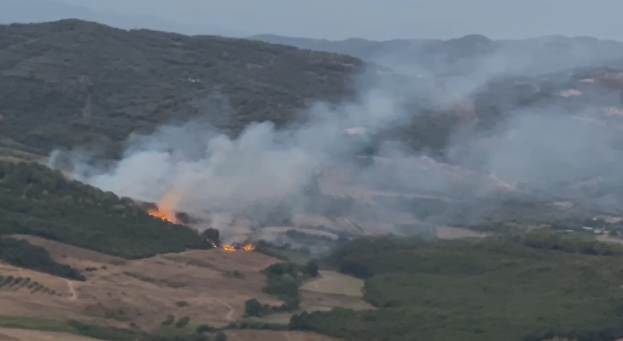 Zjarr në masivin pyjor me pisha në Peshtan të Fierit
