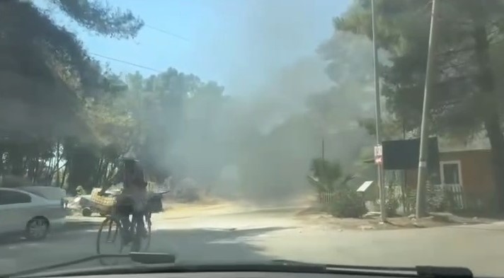 Përfshihet nga flakët një lokal në Triport, rrezikohet Pylli i Sodës në Vlorë