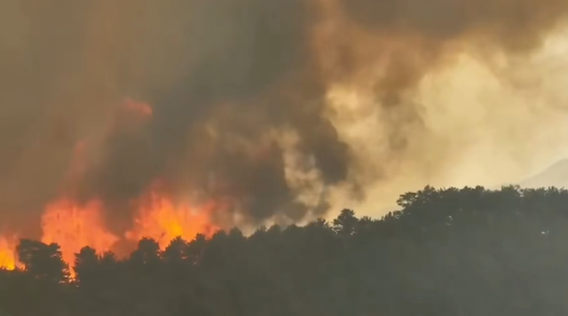 Harta, Shqipëria mes vapës dhe zjarreve, Europa Perëndimore thyen rekordin e temperaturave